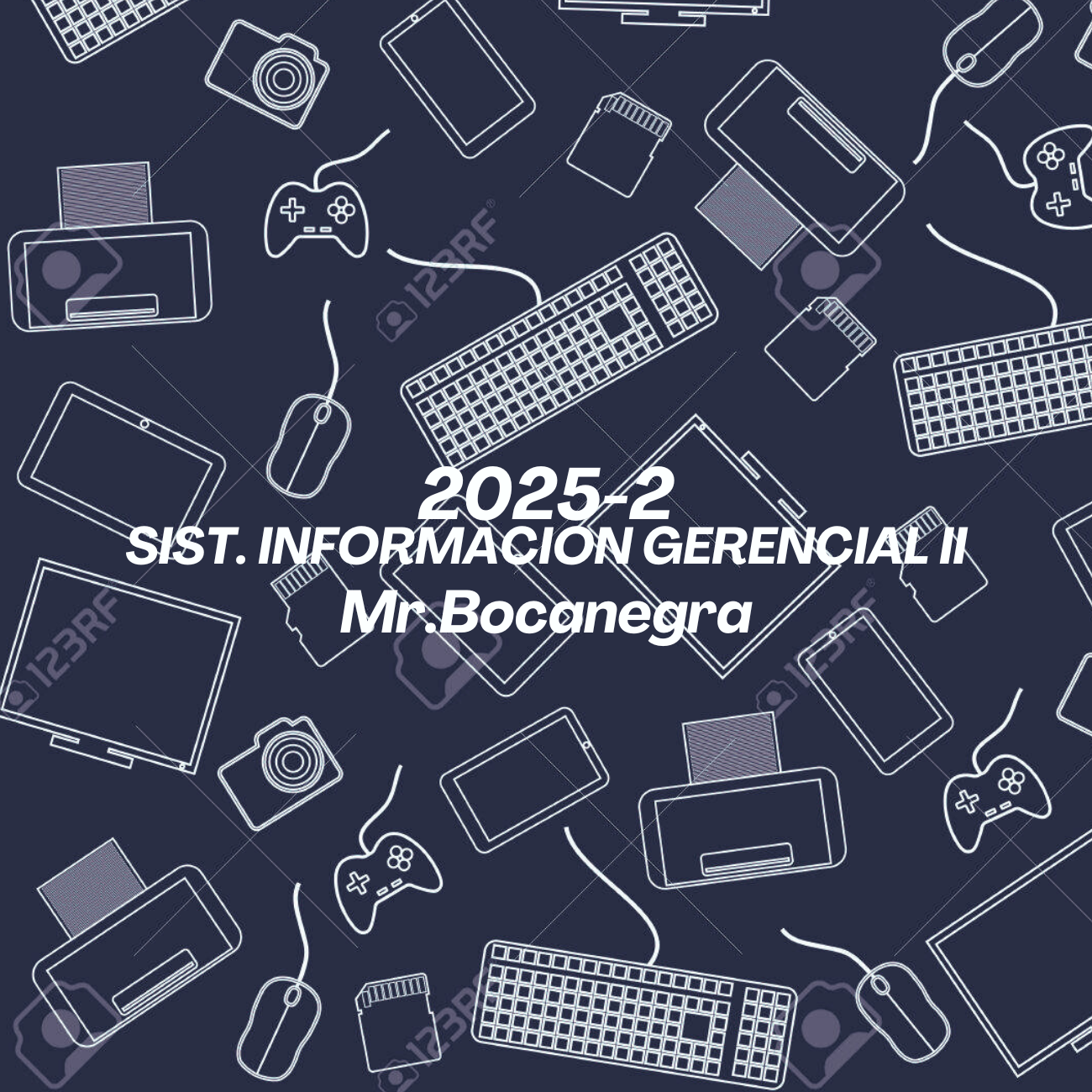 SIST. INFORMACION GERENCIAL II - AD