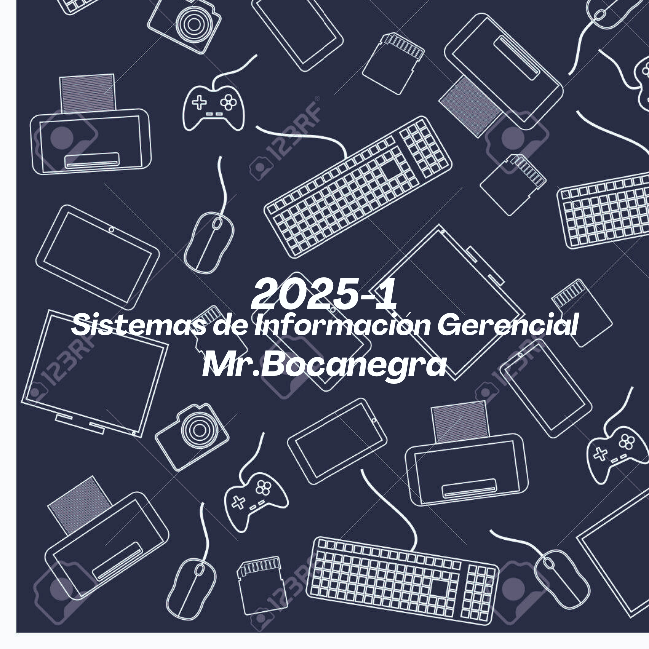 SISTEMAS DE INFORMACIÓN GERENCIAL I - AD